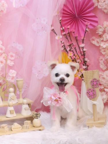 20250309こはるちゃん